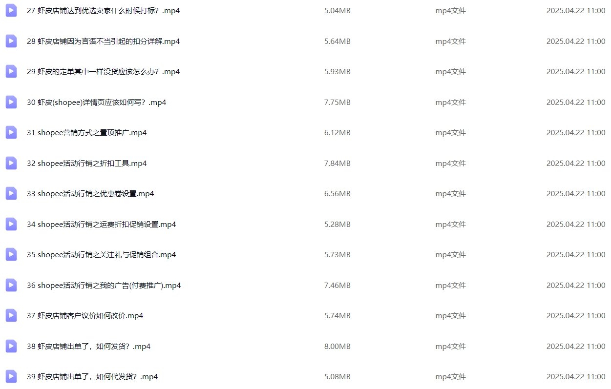 图片[4]-跨境Shopee基础运营实操课-墨熠合众